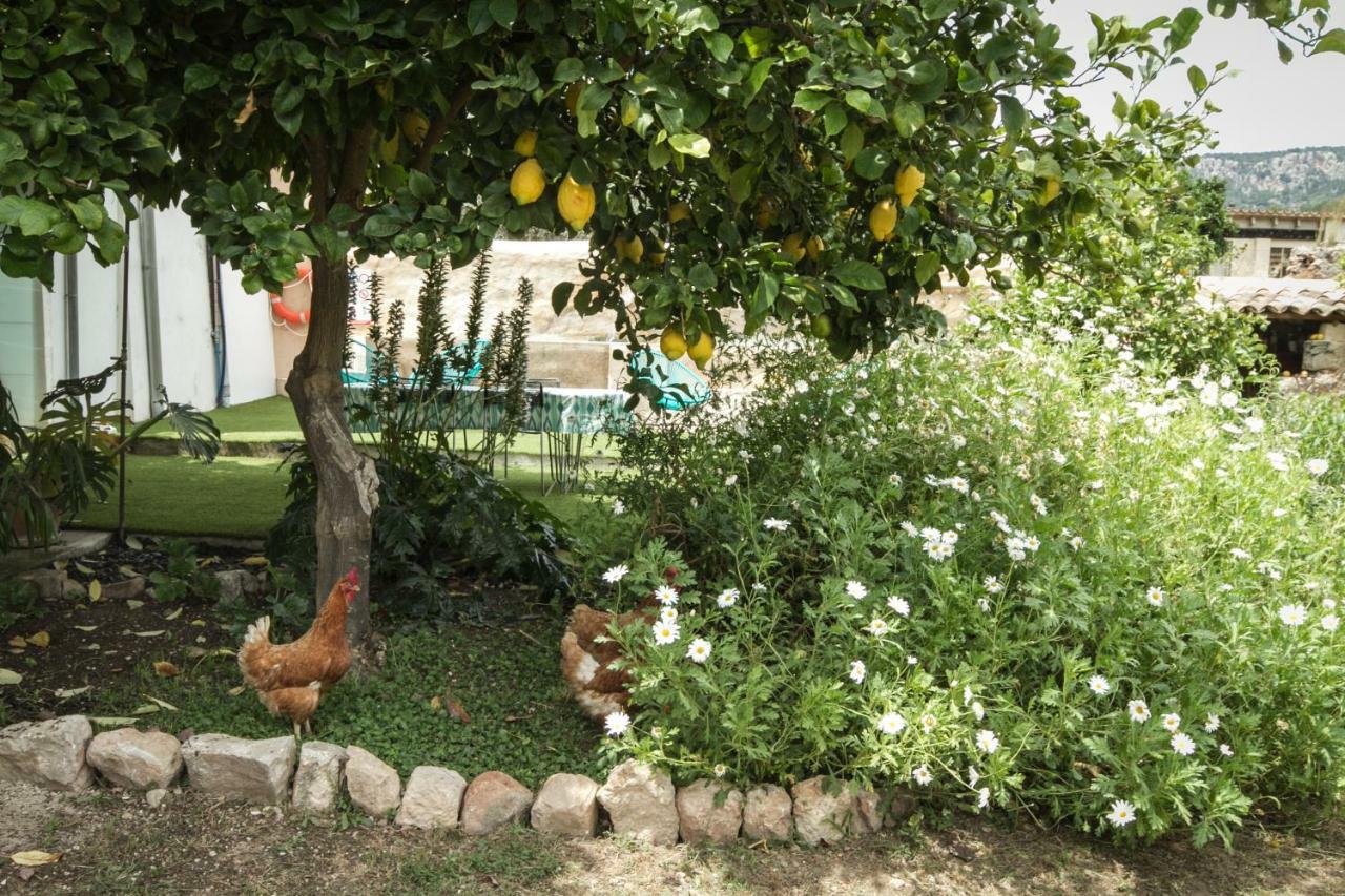 Sa Fita Backpackers - Albergue Juvenil エスポレス エクステリア 写真